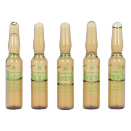 Ampułki Endoncare Tensage Regeneracyjny (10 x 2 ml)