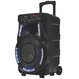 MANTA Głośnik karaoke z mikrofonem Power Audio SPK5033