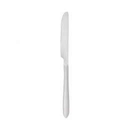 Nóż stołowy Secret de Gourmet Stal nierdzewna 24 cm 2 Części