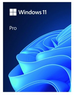 Windows Pro 11 64bit ENG USB Flash Drive Box HAV-00163