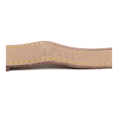 Smycz dla psa Gloria Oasis 3 x 60 cm Biały