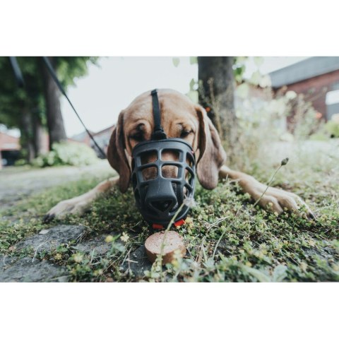 Kaganiec Hunter Albury Czarny 2