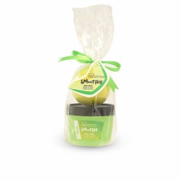 Zestaw do Kąpieli IDC Institute Smoothie Mini Bath Melon Melon (2 Części)