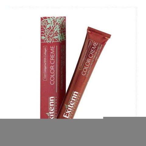 Trwała Koloryzacja Color Creme Exitenn Color Creme Nº 873 Light Cinnamon Blonde (60 ml)