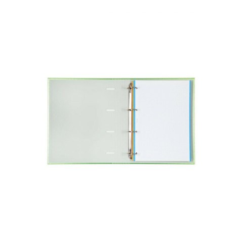 Segregator Carchivo Carpeblock Szary A4