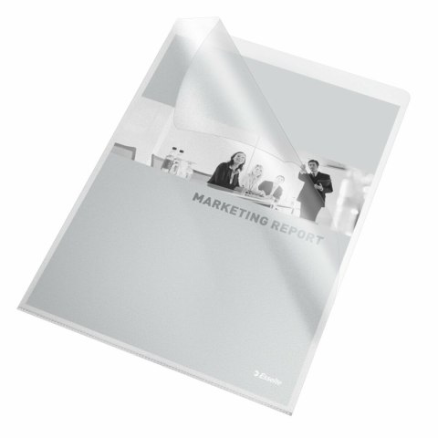 Folder z teczkami Esselte Przezroczysty Din A4 PVC