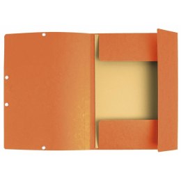 Folder Exacompta Pomarańczowy A4 10 Części
