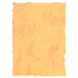 Papier pergaminowy Michel Żółty A4 25 Części