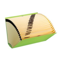 Folder organizacyjny Carchivo Kolor Zielony Karton (35 x 25 x 5 cm)