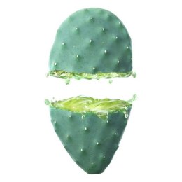 Lotion Nawilżający do Twarzy Cactus Opuntia 24h Weleda 102079 30 ml