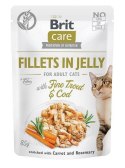 BRIT Care Fillets in Jelly Flavour Box - mokra karma dla kota - 12 x 85 g