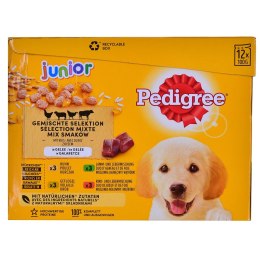 PEDIGREE Junior saszetka karma w galarecie dla psa12X100g