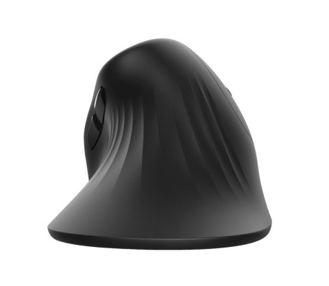 Mysz TRUST Verro Ergonomic Wireless Mouse