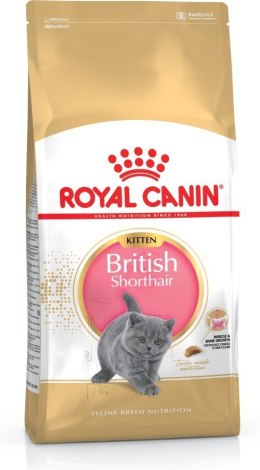 Karma Royal Canin KITTEN BRITISH (10 kg )