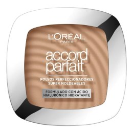 Podkład pod makijaż puder L'Oreal Make Up Accord Parfait Nº 5.D 9 g