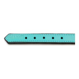 Obroża dla psa Gloria Wyściełany Turquoise 40 cm (40 x 2 cm)