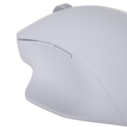Mysz Microsoft Bluetooth Ergonomic Mouse Glacier