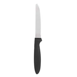 Zestaw noży Czarny Srebrzysty Stal nierdzewna Plastikowy 19,5 cm (12 Sztuk)