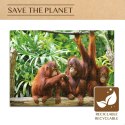 Układanka puzzle Colorbaby Orangutan 6 Sztuk 68 x 50 x 0,1 cm