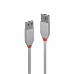 Kabel USB LINDY 36712 Szary 1 m
