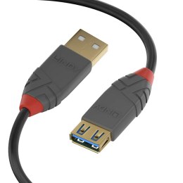 Kabel USB LINDY 36761 Czarny 1 m (1 Sztuk)