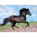 Układanka puzzle Ravensburger 12803 Black Stallion XXL 200 Części