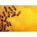 Układanka puzzle Ravensburger Challenge 17362 Beehive 1000 Części