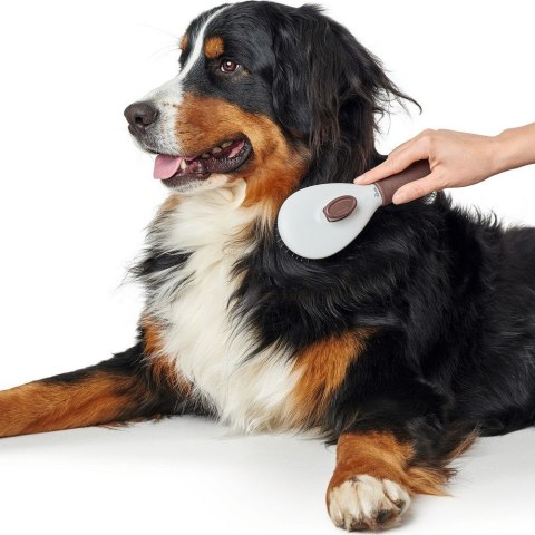 Grzebień Ułatwiający Rozczesywanie Hunter Samoczyszczący