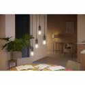 Inteligentna Żarówka Philips Bombilla inteligente A60 - E27 7 W 40 W 60 W E27 LED