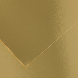 Tektury Iris Złoty 50 x 65 cm
