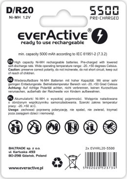 Zestaw akumulatorków everActive EVHRL20-5500 (5500mAh ; Ni-MH)