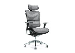 Ergonomiczny fotel biurowy ERGO 700 szary