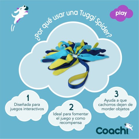 Training toy Coachi TUGGI SPIDER Niebieski
