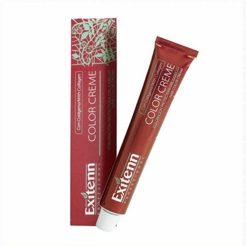 Trwała Koloryzacja Color Creme Exitenn (60 ml)