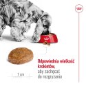 ROYAL CANIN SHN Medium Adult 7+ - sucha karma dla psa dorosłego - 15 kg