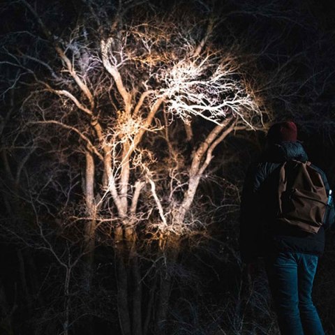 Akumulatorowa latarka LED Nebo Davinci™ 1000 1000 Lm