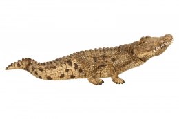 Krokodyl