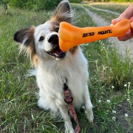 DINGO Zabawka dla psa kość 16,5cm winyl