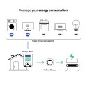 Reduktor Mocy do Wzmacniacza Power Boost Wallbox 100A/EM112