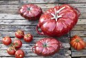 Garnek żeliwny owalny pomidor STAUB 40511-774-0 - czerwony 2.5 ltr