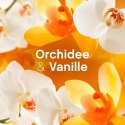 Lenor Orchidee & Vanille Płyn do Płukania 38 prań DE
