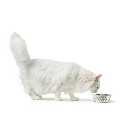 Karmnik dla psów Hunter Silikon Stal nierdzewna 1,05 L