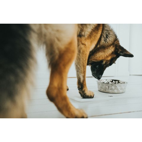 Karmnik dla psów Hunter Silikon Stal nierdzewna 1,05 L