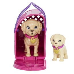 Barbie Adopcja piesków zestaw z lalką HKD86 MATTEL