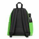 Plecak Casual Eastpak Padded Pak'r Sour Cytrynowa Zieleń