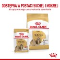 ROYAL CANIN BHN Shih Tzu Adult pasztet 12x85g