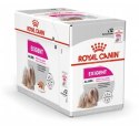 ROYAL CANIN CCN EXIGENT LOAF - mokra karma dla psa dorosłego - 12x85g