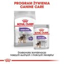 ROYAL CANIN CCN STERILIZED LOAF 12X85