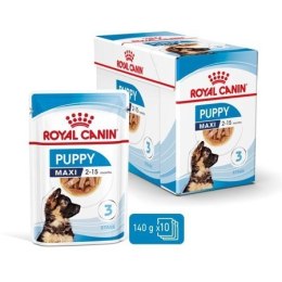 ROYAL CANIN SHN Maxi Puppy w sosie 10X140G