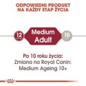 ROYAL CANIN SHN Medium Adult w sosie 10X140G